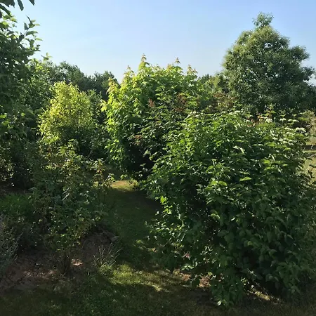 Ferienwohnung Rothlingshofer